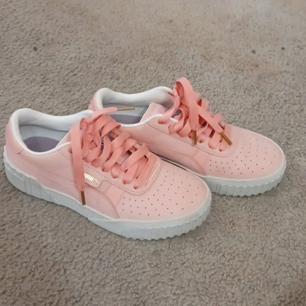 Puma  beautiful color